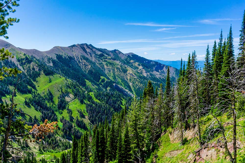 Best Cities in America for Introverts