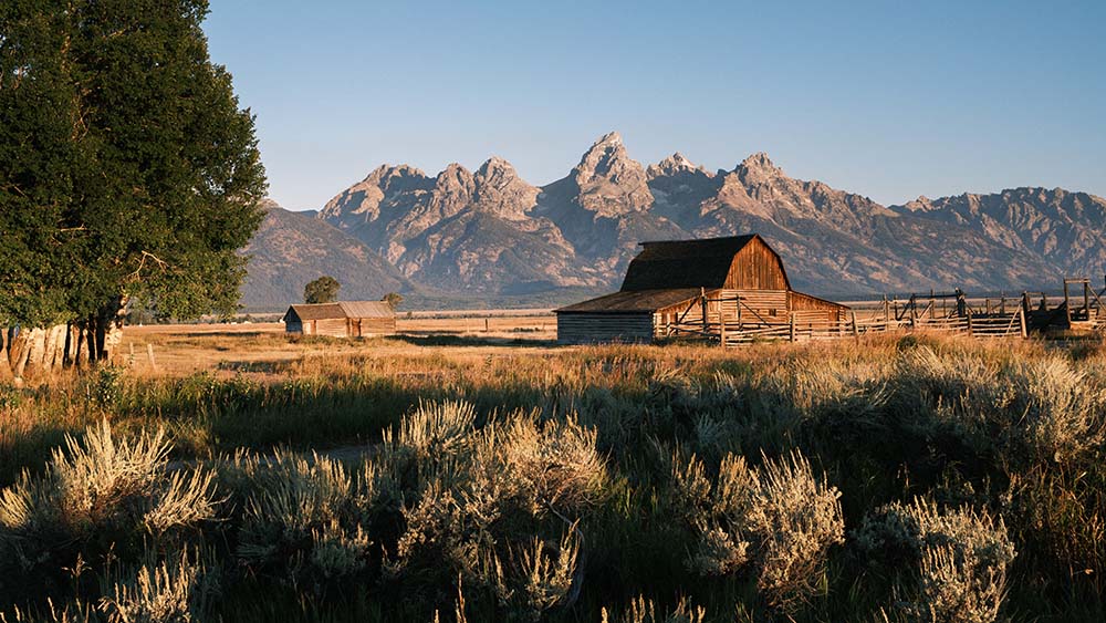Best US Cities for Introverts