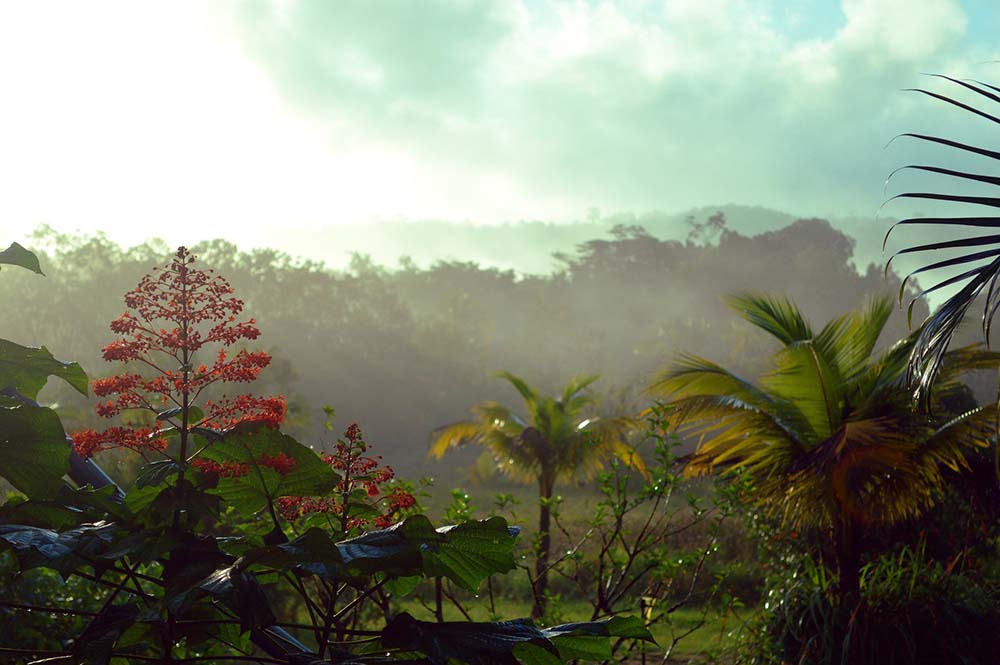 French Guiana