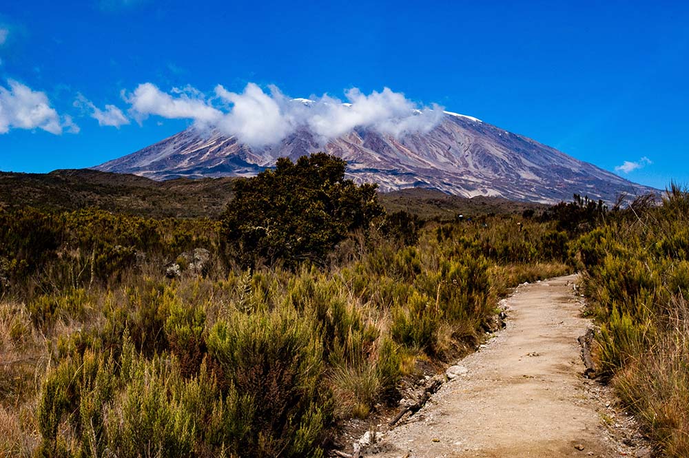 Kilimanjaro, Tanzania