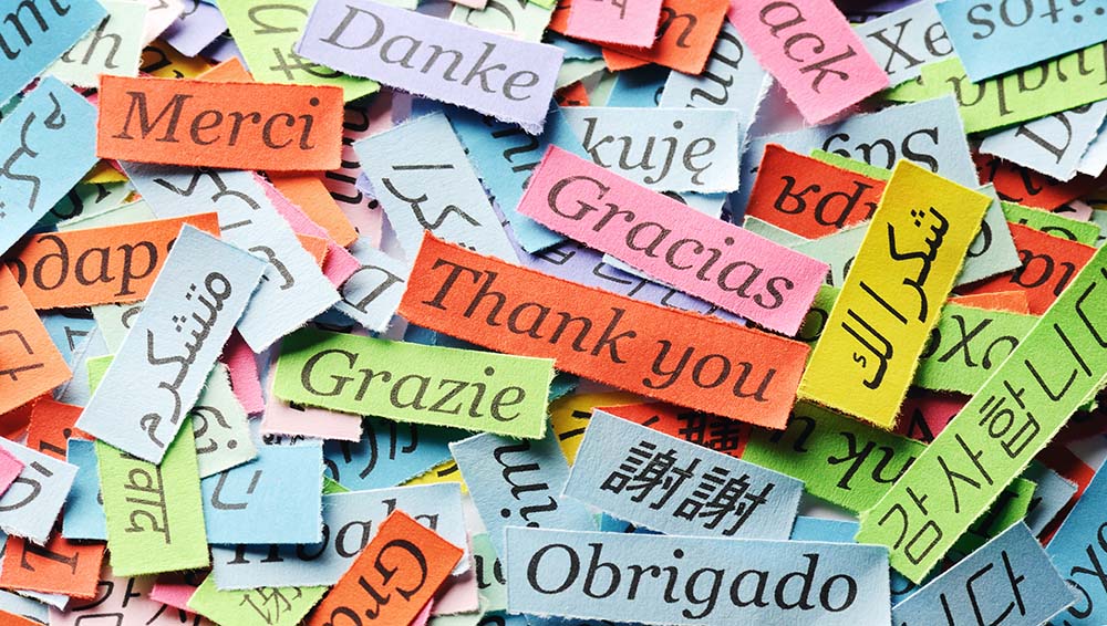 Top Languages by the Number of Native Speakers