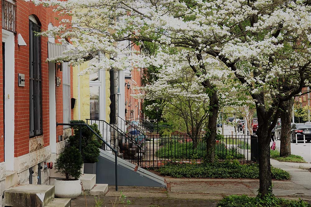 Top 10 Warmest Cities in Maryland