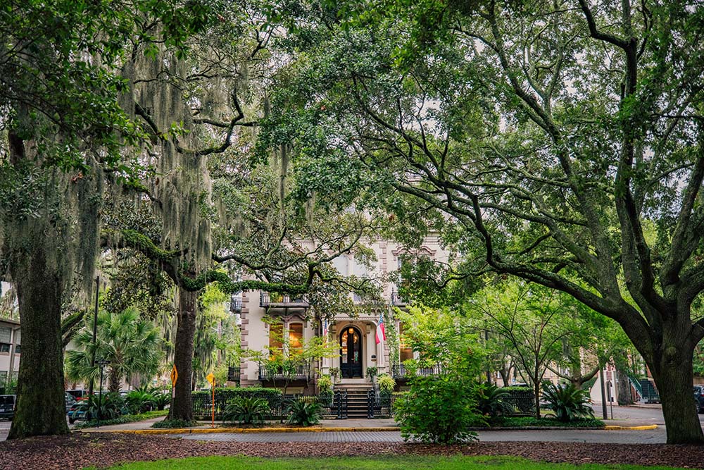 What Are the Warmest Cities in Georgia?