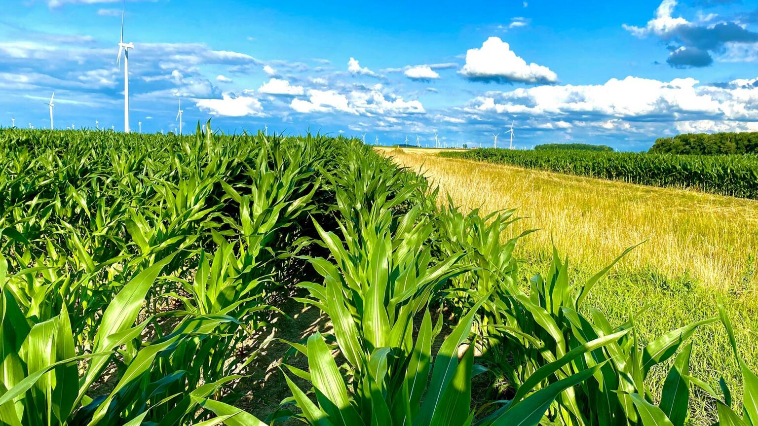 What Are the Warmest Cities in Oklahoma?