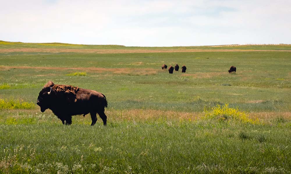 Badlands National Park, South Dakota