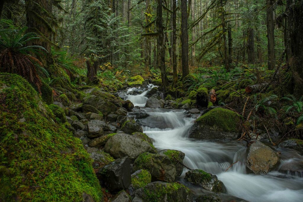 What Are the Warmest Cities in the Pacific Northwest?