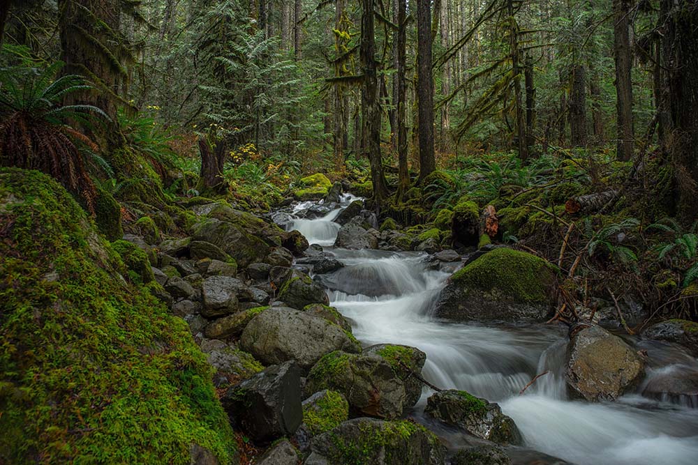 What Are the Warmest Cities in the Pacific Northwest?