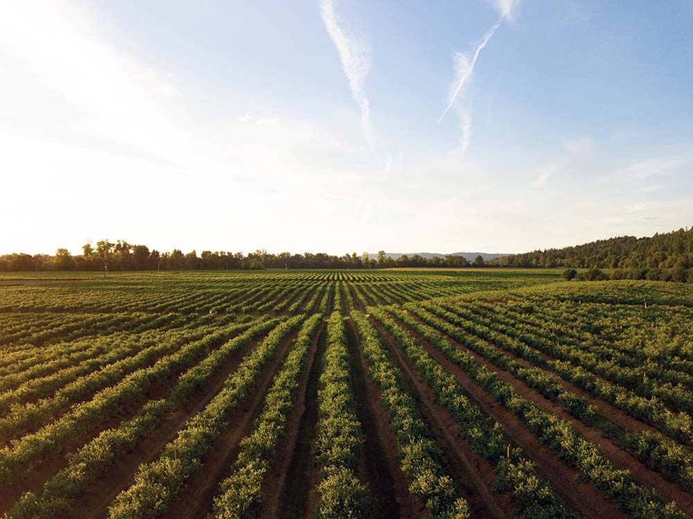 Willamette Valley, Salem, Oregon