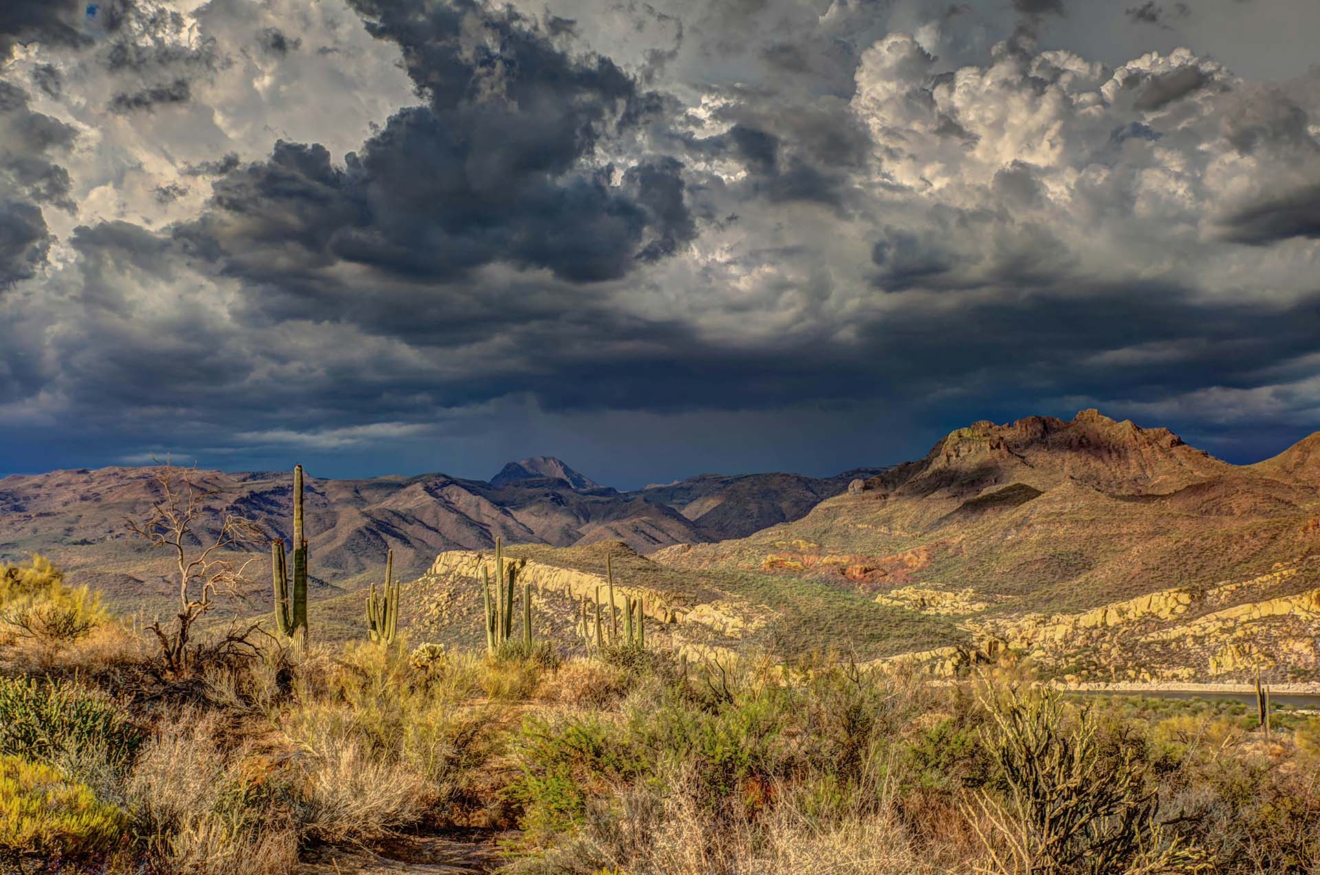 Arizona Cities That Have Four Seasons