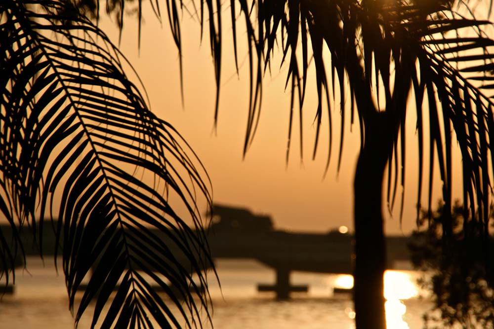 What Major City in Florida Has the Best Weather?
