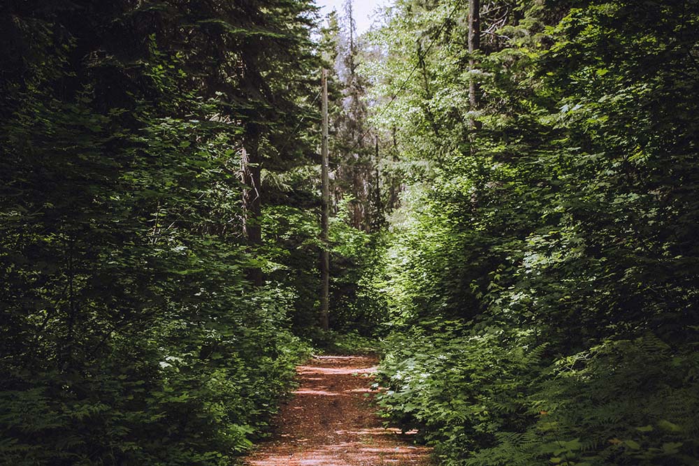 Cascade Mountains