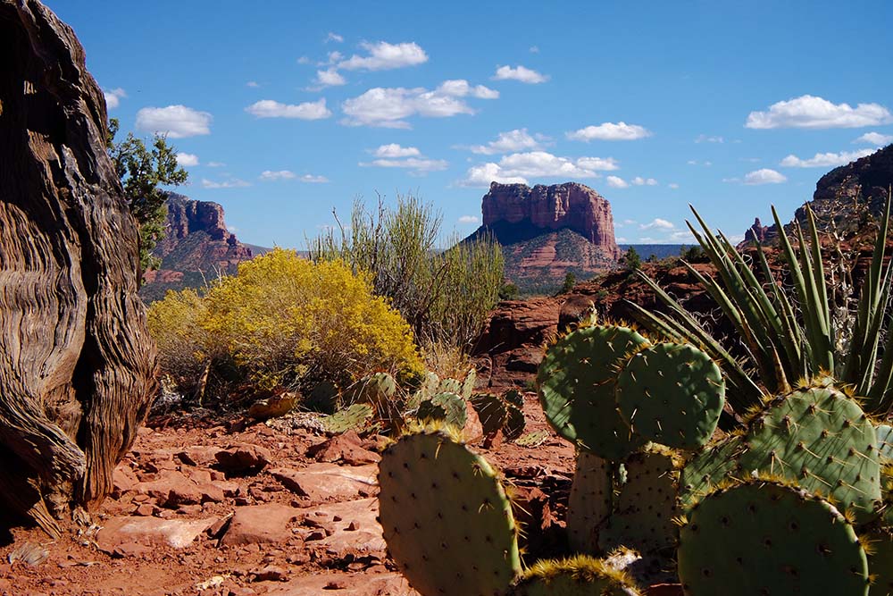 Great Weather Not in CA: Arizona