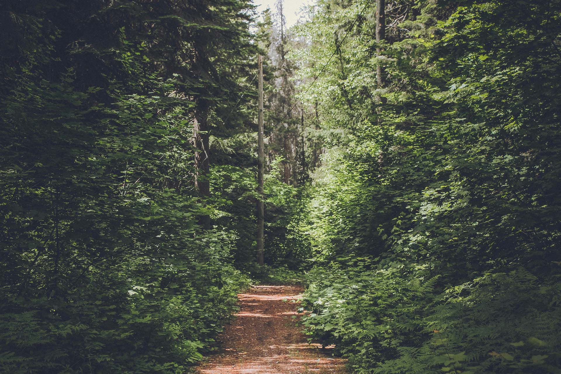 Snow-free Oregon in Cascade Mountains