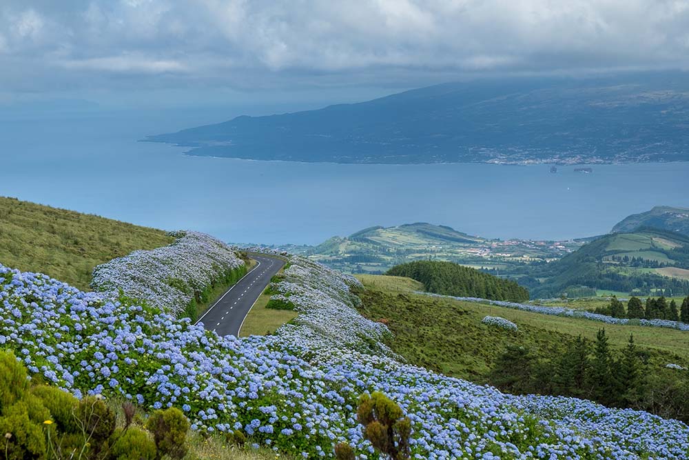 20 Degrees Year Round in Europe: Azores
