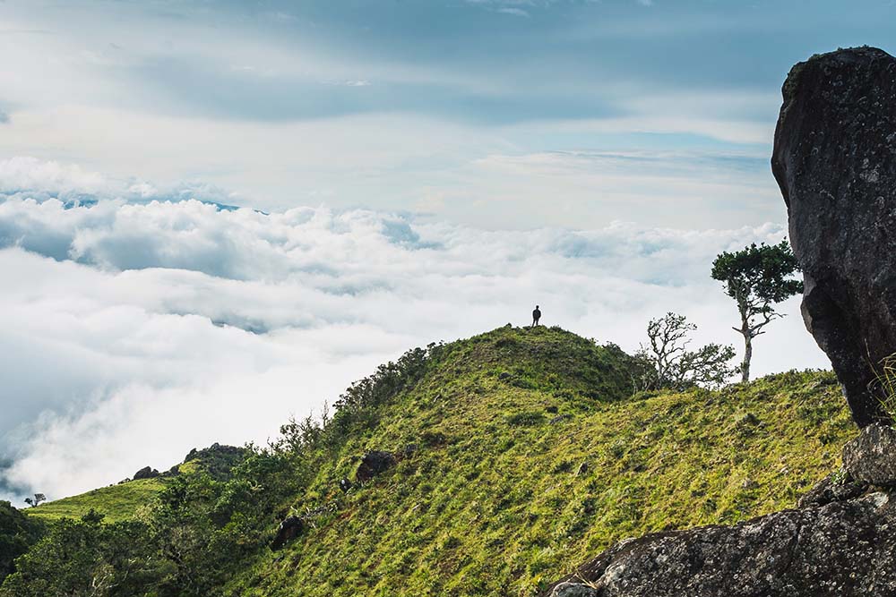 20 Degrees Year Round in North America and Central America: Boquete
