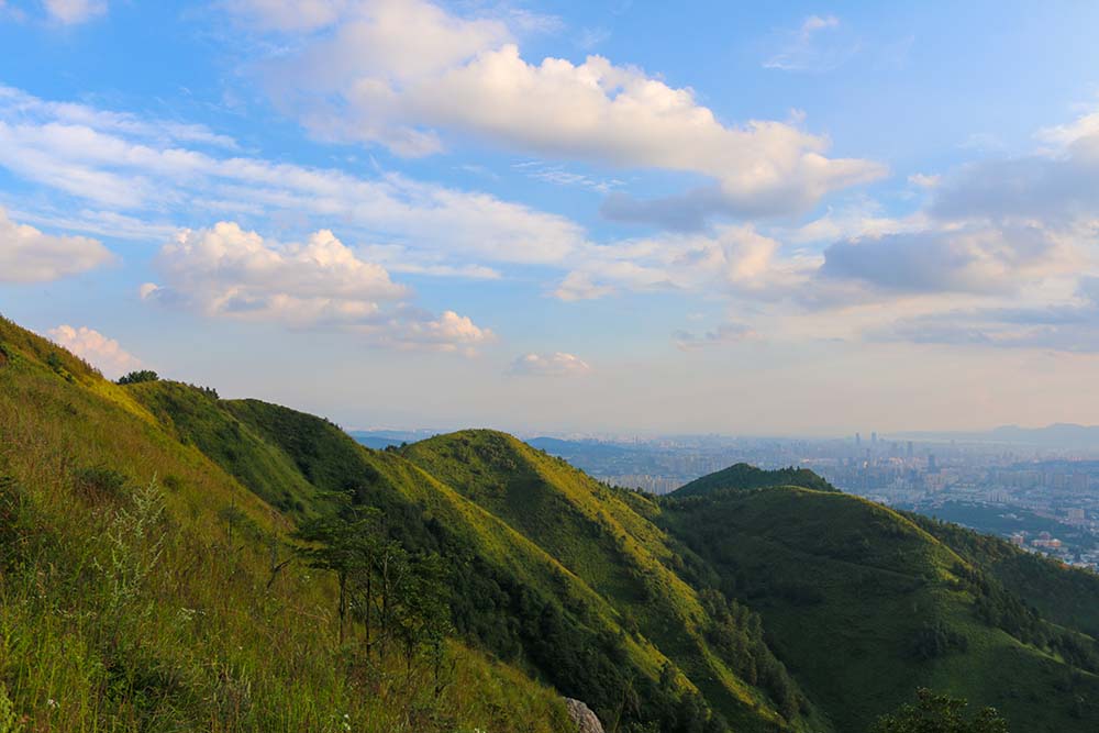 20 Degrees Year Round in Asia: Kunming