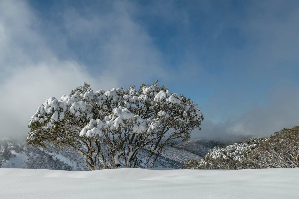 How Cold Does It Get In Australia