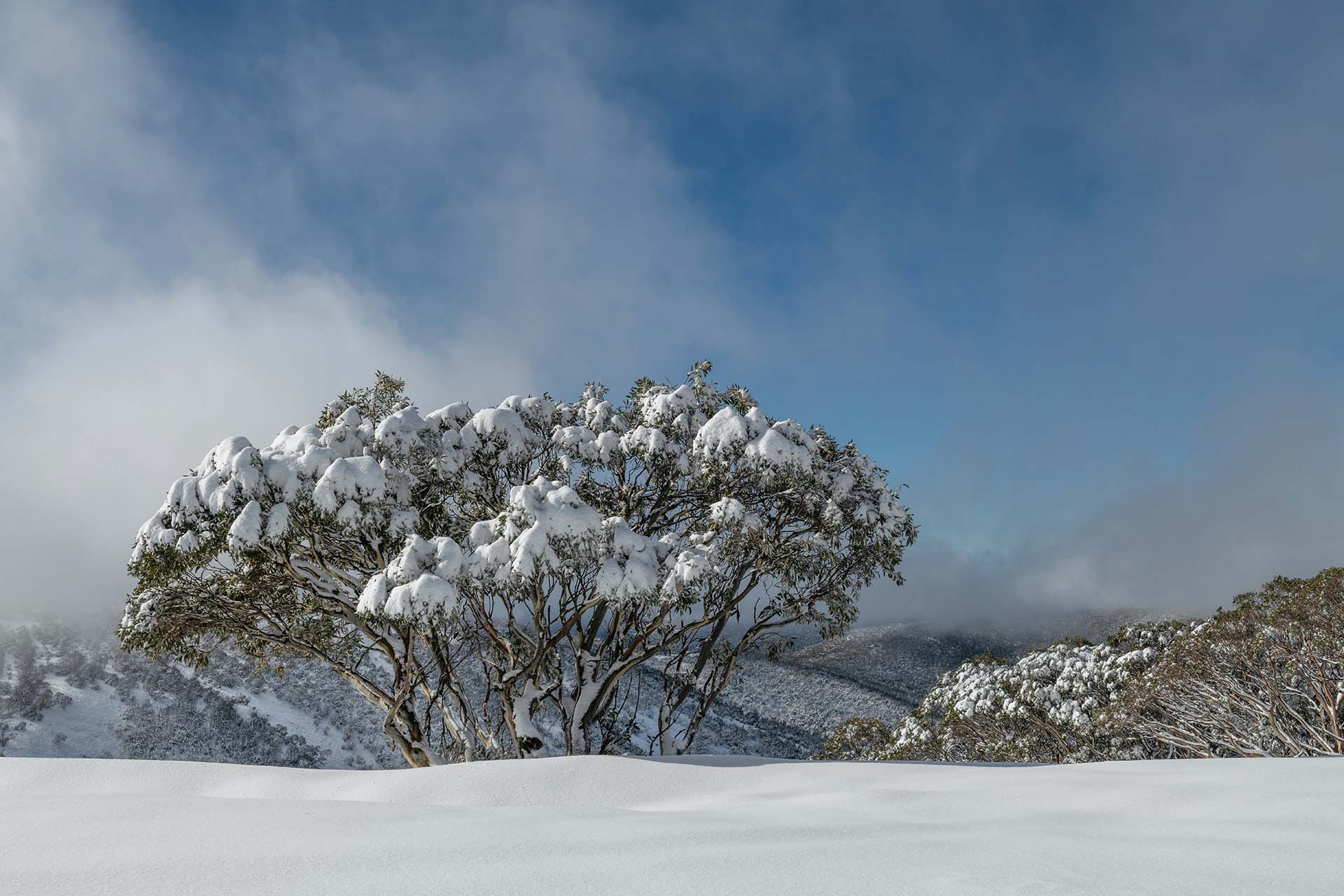 Coldest Ski Resorts in Australia