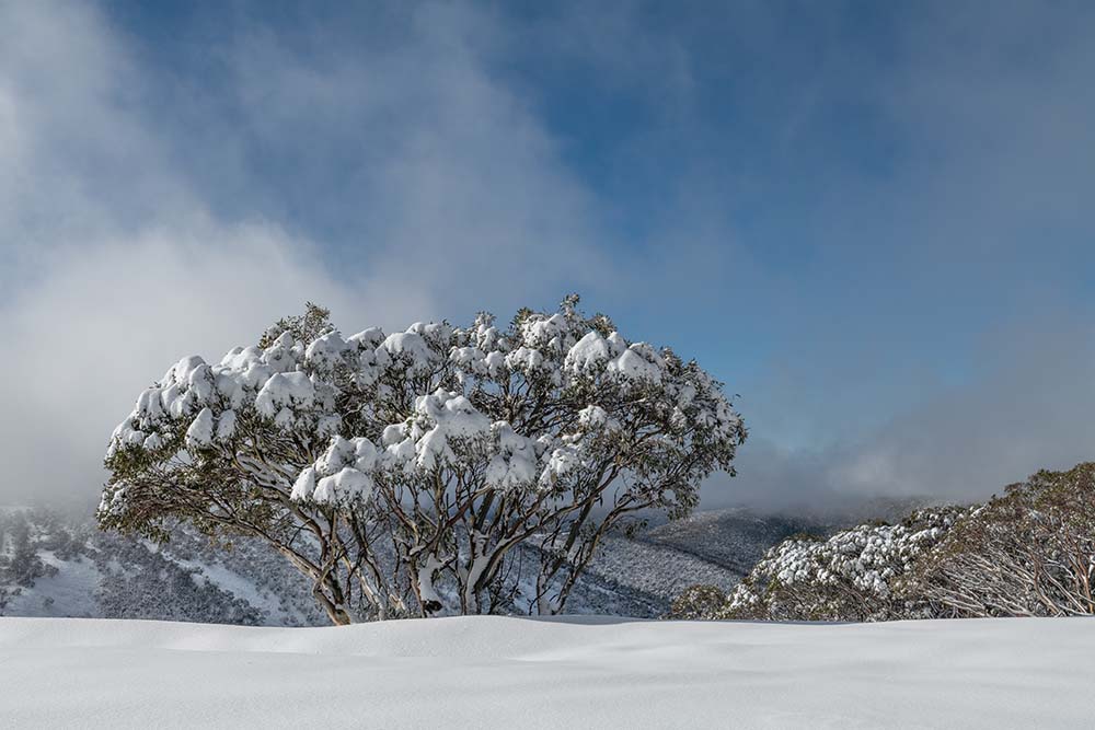Coldest Ski Resorts in Australia