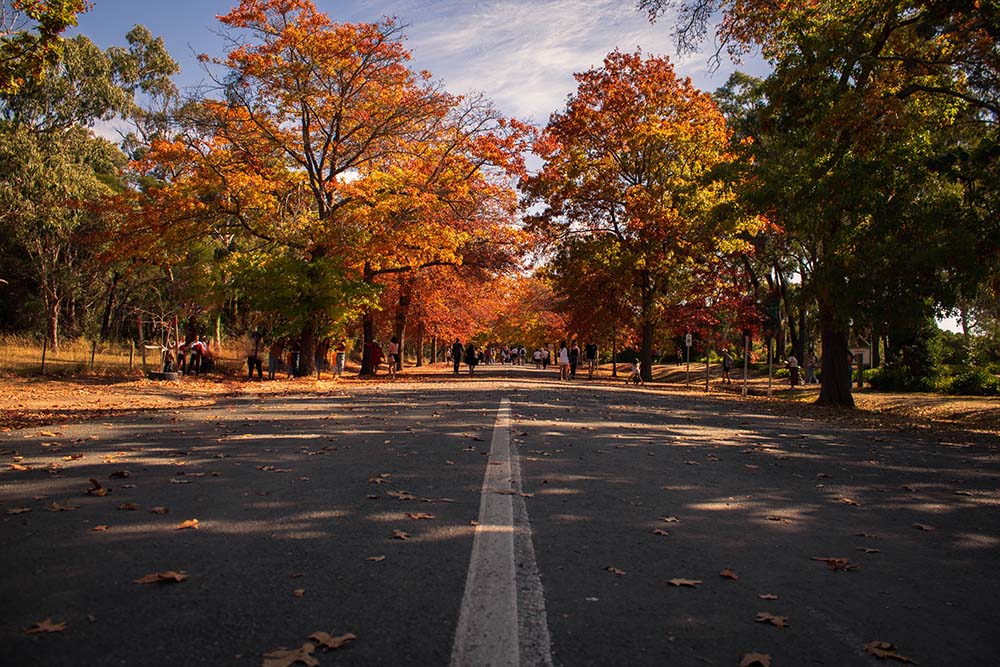 Macedon: the Coldest City in Australia