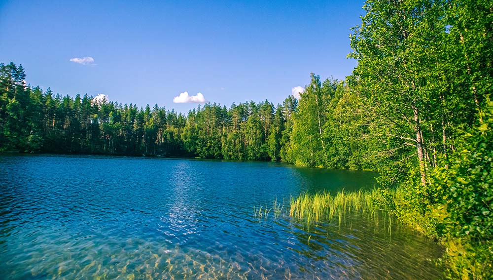 Europe Has Glorious Summers