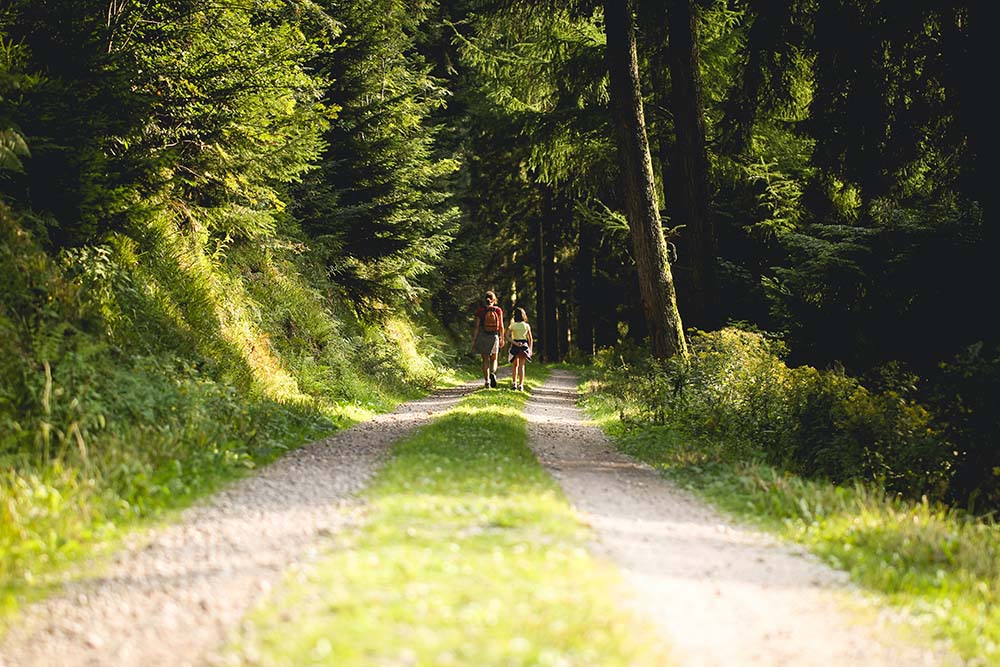 Europe Doesn't Have True Wilderness Left