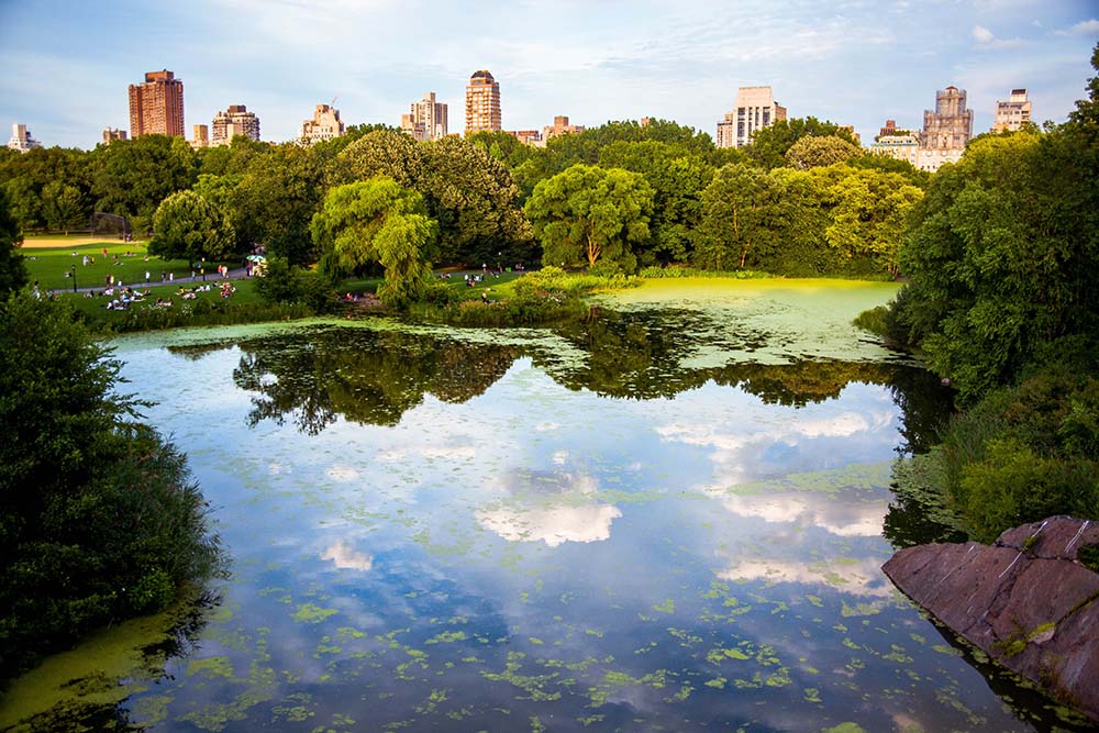 New York Has Much Sunnier Weather