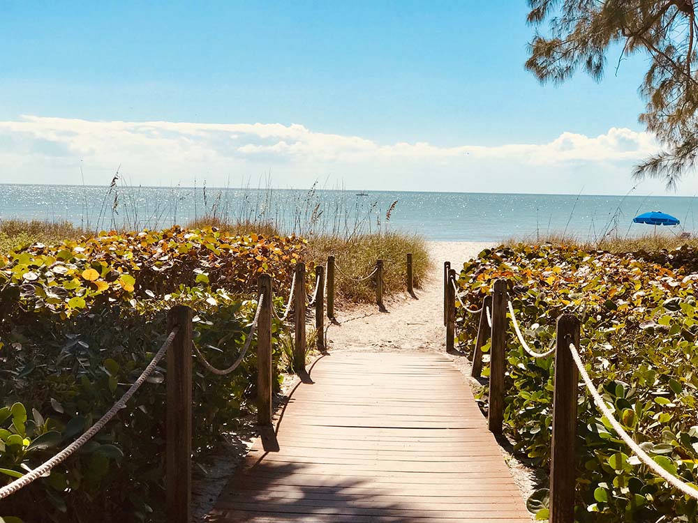California vs Florida: Temperatures and Humidity