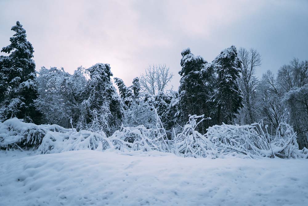 Does It Snow in Tennessee?