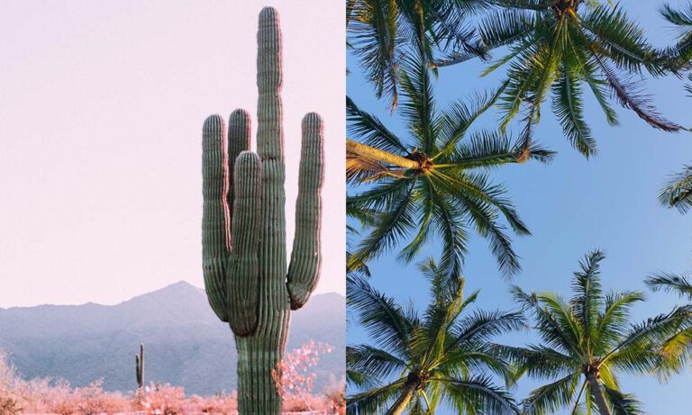 Is Arizona Hotter Than Florida?
