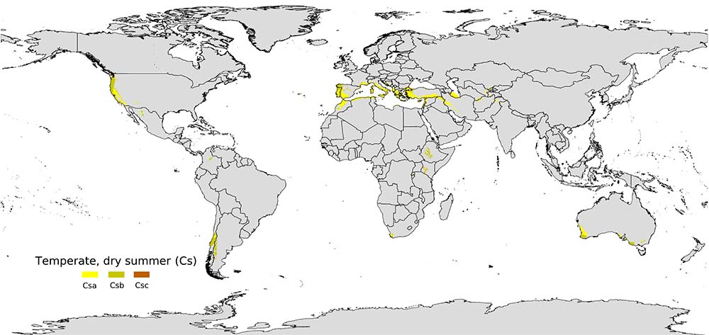 Mediterranean Climate Map