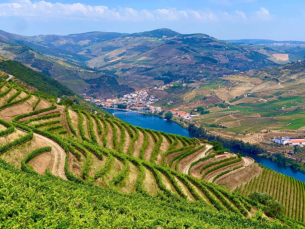 Three Types of Mediterranean Climates