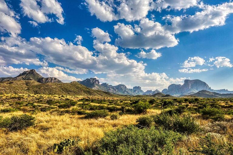 What City in Texas Has Weather Like California?